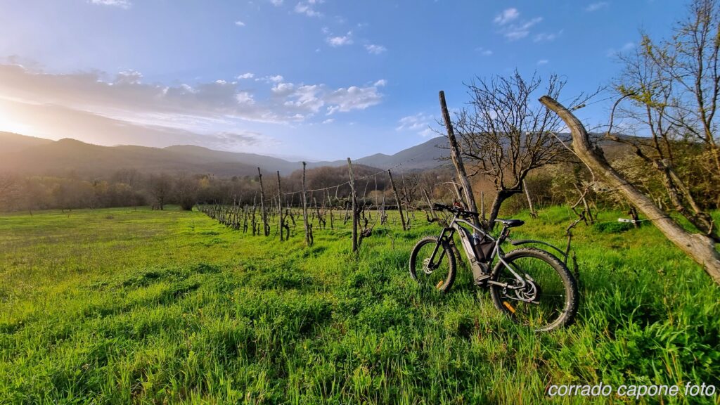 MTB con vigneto spoglio