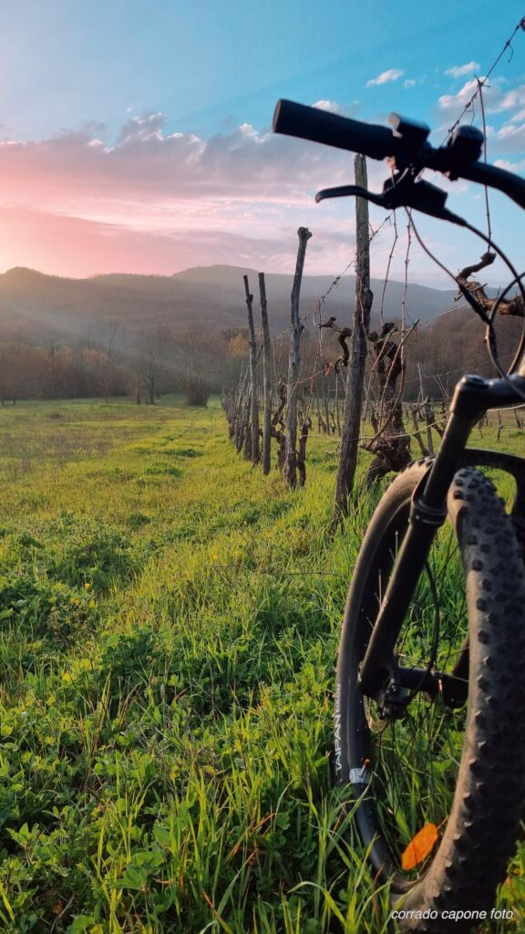 MTB al calar del sole