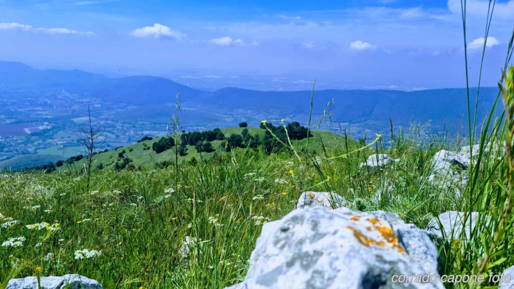 pietre_fiori