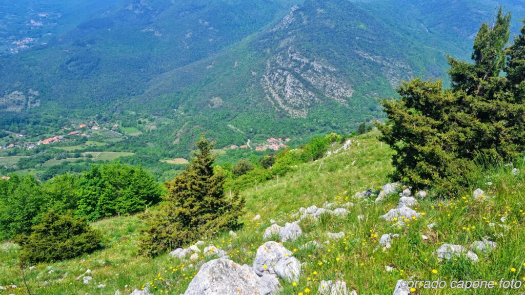 sant_erasmo_treglia