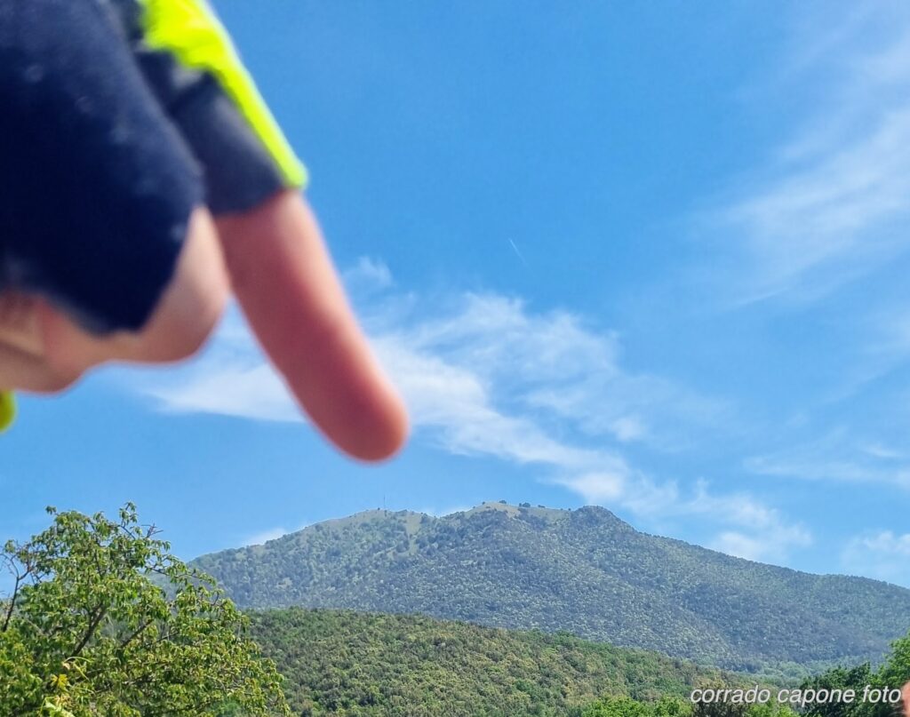 dito_indica_friento