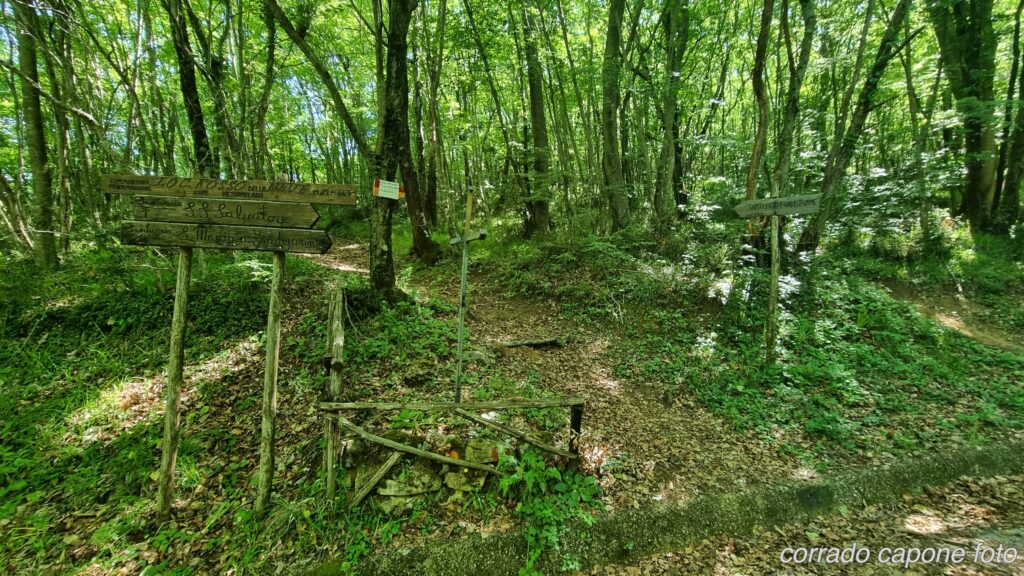 accesso_sentieri_panoramica_2