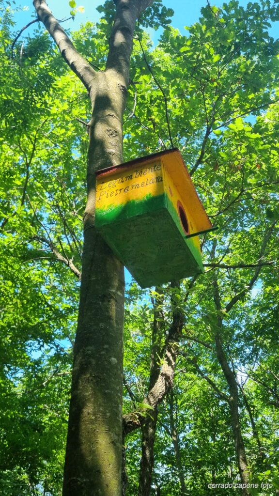 lungo_il_sentiero_della_capozzola