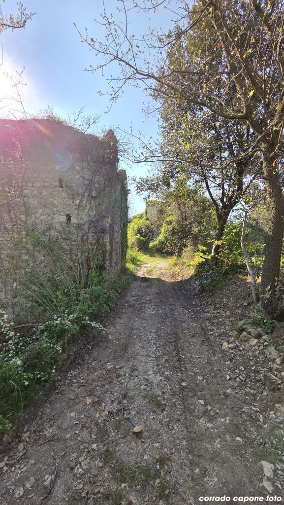 casavecchia_pontelatone